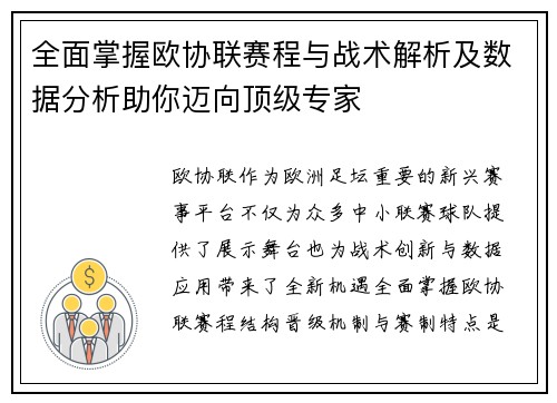 全面掌握欧协联赛程与战术解析及数据分析助你迈向顶级专家